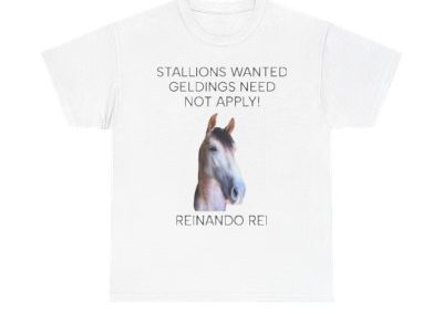 Stallions wanted!